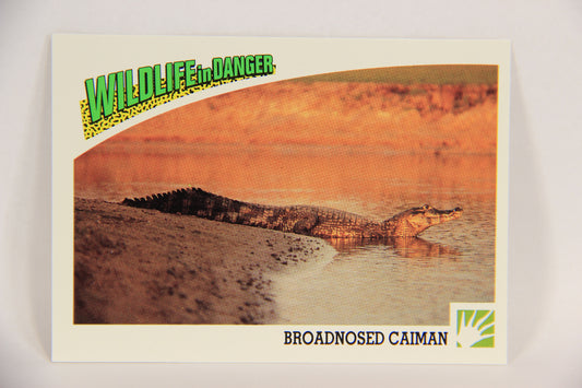 Wildlife In Danger WWF 1992 Trading Card #48 Broadnosed Caiman ENG L016984