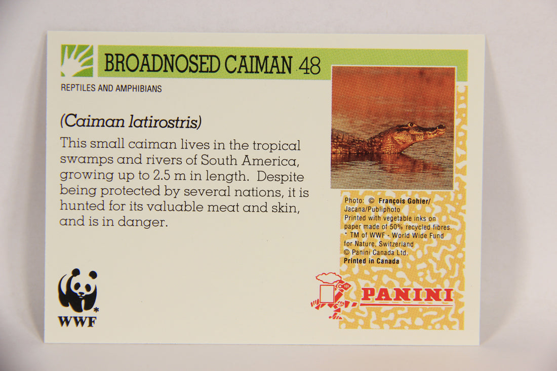 Wildlife In Danger WWF 1992 Trading Card #48 Broadnosed Caiman ENG L016984