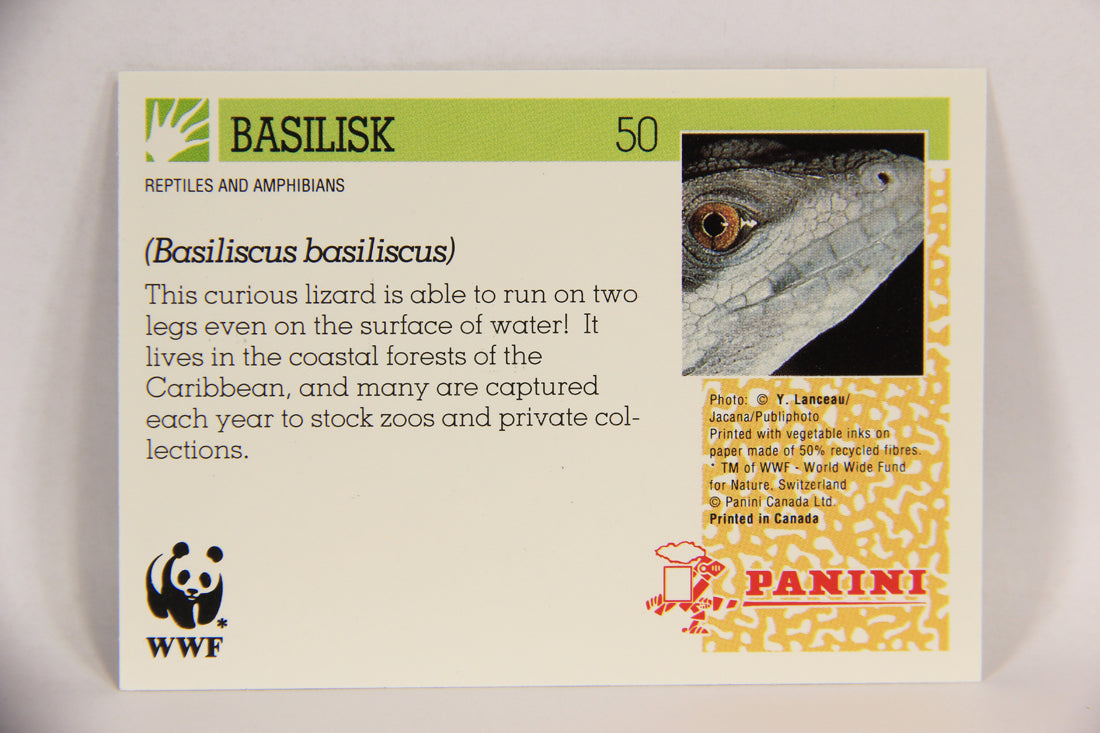 Wildlife In Danger WWF 1992 Trading Card #50 Basilisk ENG L016986