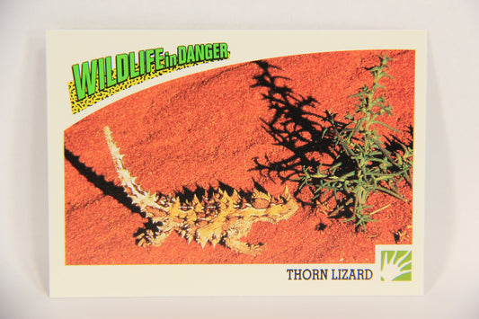 Wildlife In Danger WWF 1992 Trading Card #51 Thorn Lizard ENG L016987