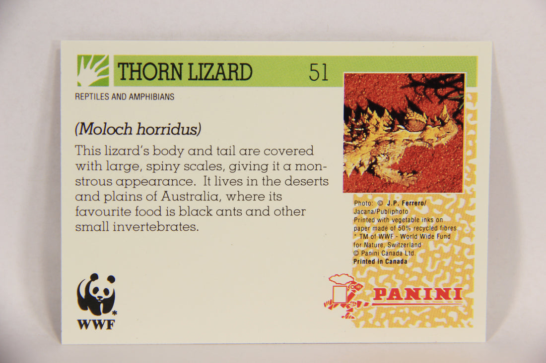 Wildlife In Danger WWF 1992 Trading Card #51 Thorn Lizard ENG L016987