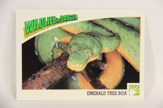 Wildlife In Danger WWF 1992 Trading Card #54 Emerald Tree Boa ENG L016990