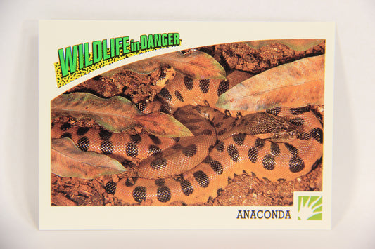 Wildlife In Danger WWF 1992 Trading Card #55 Anaconda ENG L016991