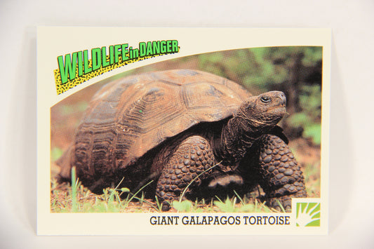 Wildlife In Danger WWF 1992 Trading Card #56 Giant Galapagos Tortoise ENG L016992