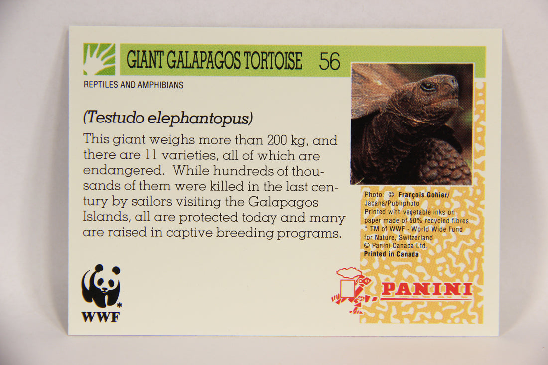 Wildlife In Danger WWF 1992 Trading Card #56 Giant Galapagos Tortoise ENG L016992