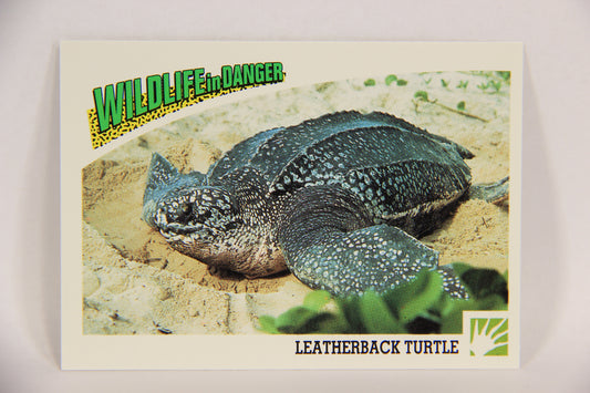 Wildlife In Danger WWF 1992 Trading Card #57 Leatherback Turtle ENG L016993