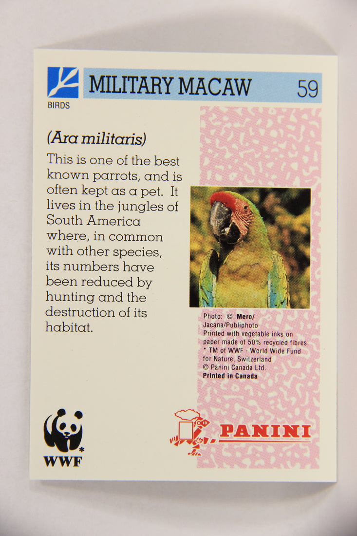 Wildlife In Danger WWF 1992 Trading Card #59 Military Macaw ENG L016995