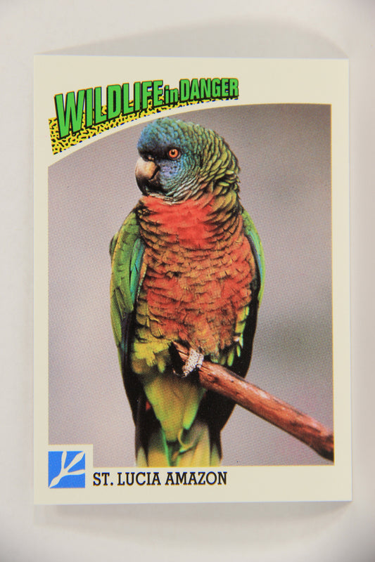 Wildlife In Danger WWF 1992 Trading Card #60 St. Lucia Amazon ENG L016996