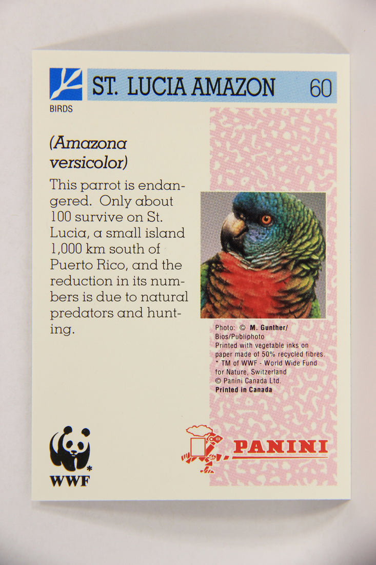 Wildlife In Danger WWF 1992 Trading Card #60 St. Lucia Amazon ENG L016996