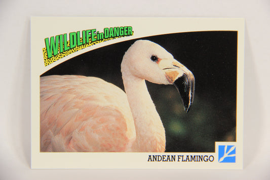 Wildlife In Danger WWF 1992 Trading Card #61 Andean Flamingo ENG L016997