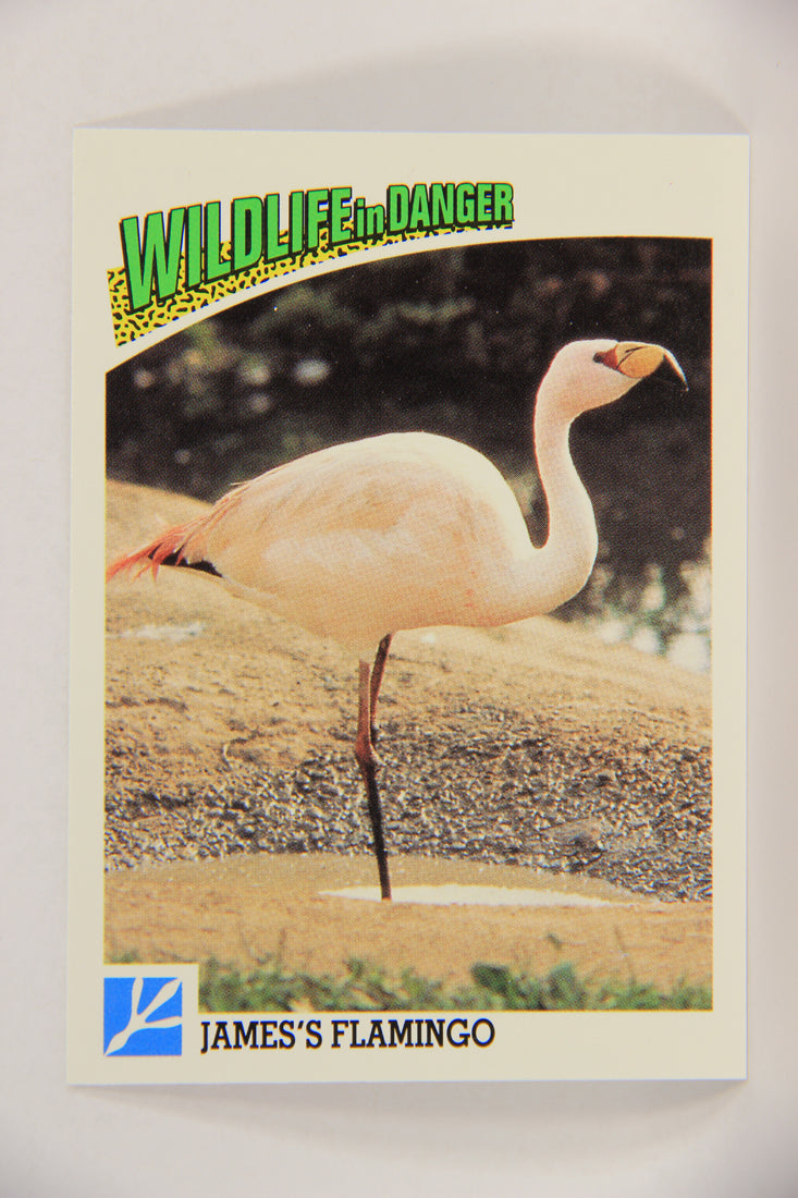 Wildlife In Danger WWF 1992 Trading Card #62 James's Flamingo ENG L016998