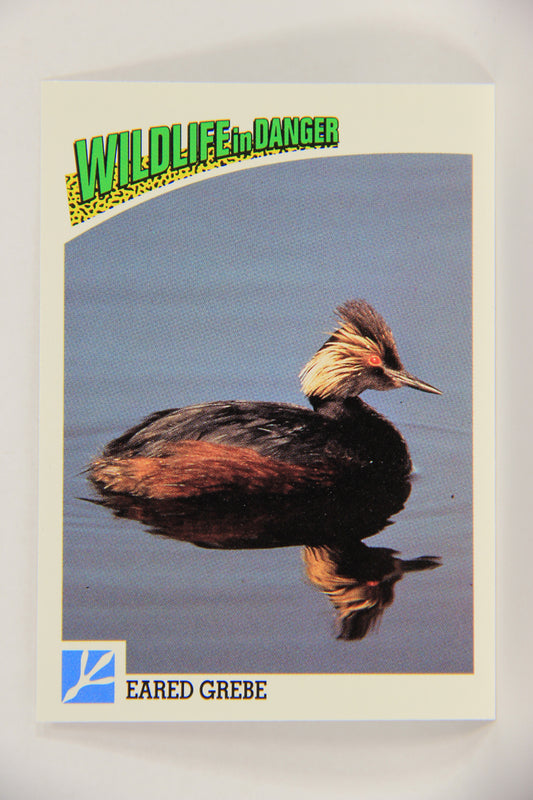 Wildlife In Danger WWF 1992 Trading Card #63 Eared Grebe ENG L016999