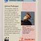 Wildlife In Danger WWF 1992 Trading Card #63 Eared Grebe ENG L016999