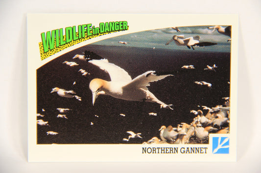 Wildlife In Danger WWF 1992 Trading Card #64 Northern Gannet ENG L017000