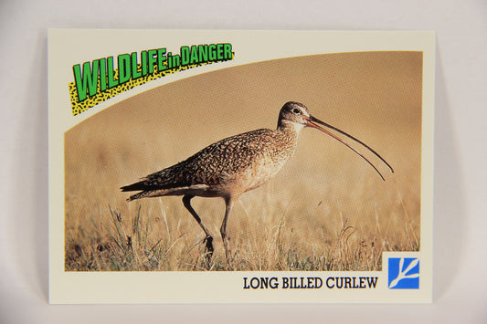 Wildlife In Danger WWF 1992 Trading Card #65 Long-Billed Curlew ENG L017001