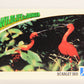 Wildlife In Danger WWF 1992 Trading Card #66 Scarlet Ibis ENG L017002
