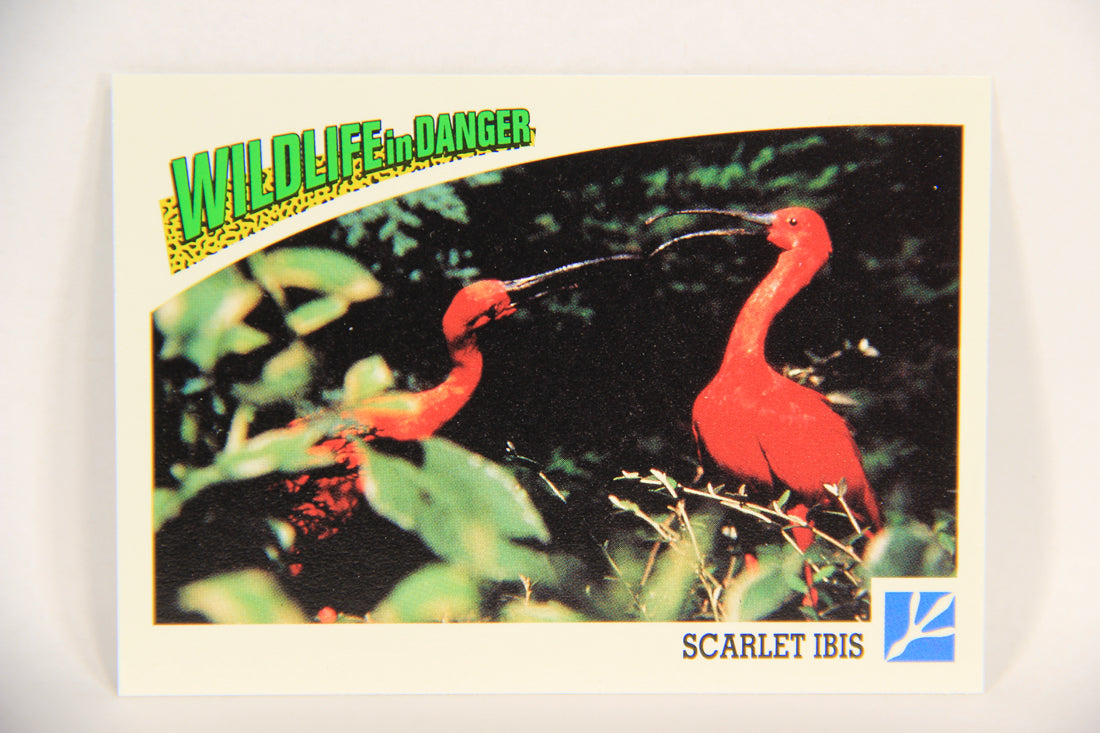 Wildlife In Danger WWF 1992 Trading Card #66 Scarlet Ibis ENG L017002
