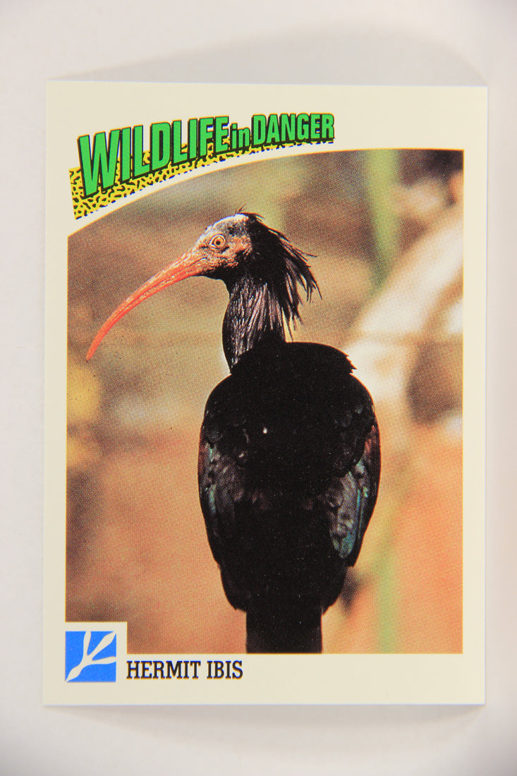 Wildlife In Danger WWF 1992 Trading Card #67 Hermit Ibis ENG L017003