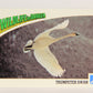 Wildlife In Danger WWF 1992 Trading Card #68 Trumpeter Swan ENG L017004