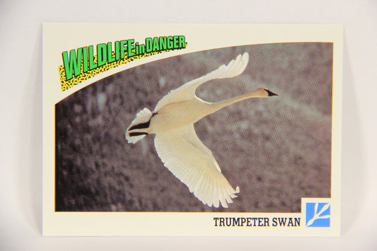 Wildlife In Danger WWF 1992 Trading Card #68 Trumpeter Swan ENG L017004