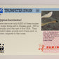 Wildlife In Danger WWF 1992 Trading Card #68 Trumpeter Swan ENG L017004