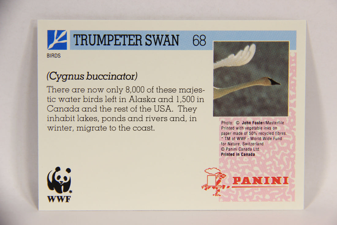 Wildlife In Danger WWF 1992 Trading Card #68 Trumpeter Swan ENG L017004