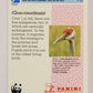 Wildlife In Danger WWF 1992 Trading Card #70 Sandhill Crane ENG L017006