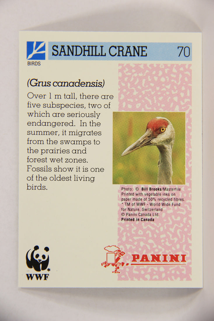 Wildlife In Danger WWF 1992 Trading Card #70 Sandhill Crane ENG L017006
