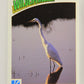 Wildlife In Danger WWF 1992 Trading Card #71 Great Egret ENG L017007