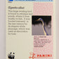 Wildlife In Danger WWF 1992 Trading Card #71 Great Egret ENG L017007