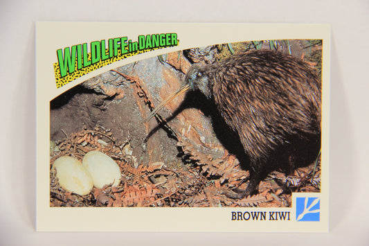 Wildlife In Danger WWF 1992 Trading Card #72 Brown Kiwi ENG L017008