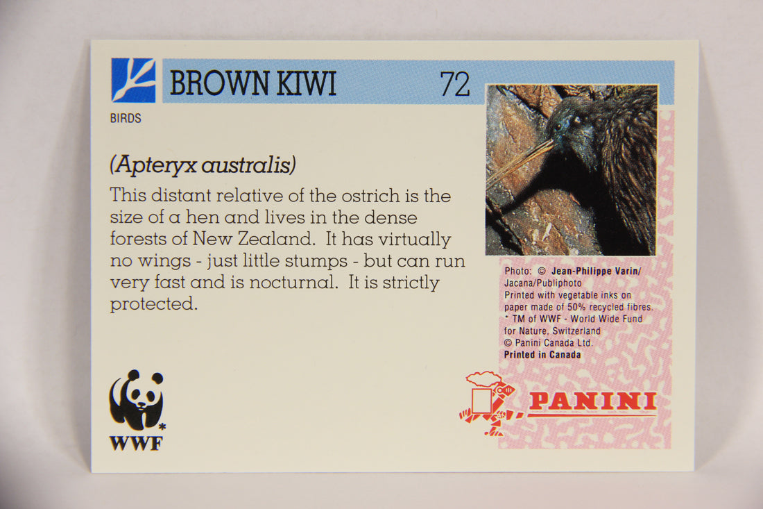 Wildlife In Danger WWF 1992 Trading Card #72 Brown Kiwi ENG L017008