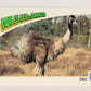 Wildlife In Danger WWF 1992 Trading Card #73 Emu ENG L017009