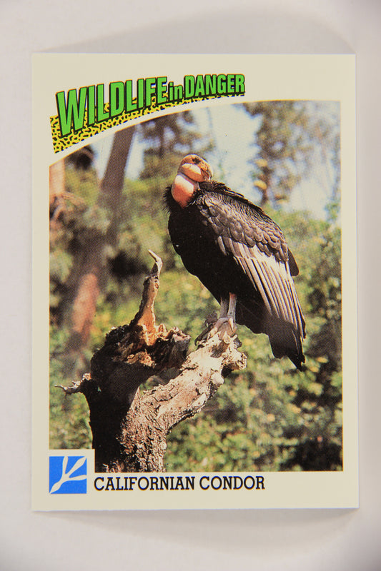 Wildlife In Danger WWF 1992 Trading Card #75 Californian Condor ENG L017011