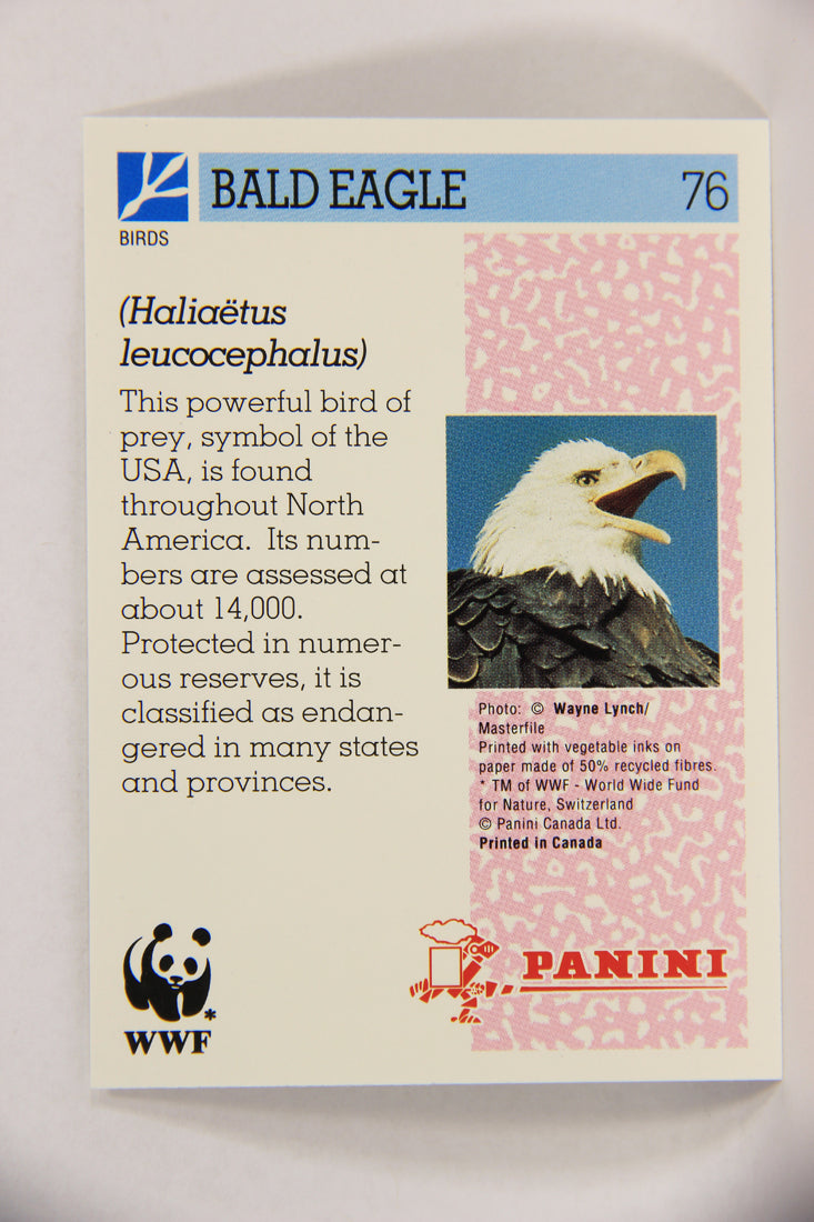 Wildlife In Danger WWF 1992 Trading Card #76 Bald Eagle ENG L017012