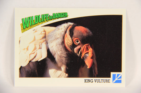 Wildlife In Danger WWF 1992 Trading Card #77 King Vulture ENG L017013