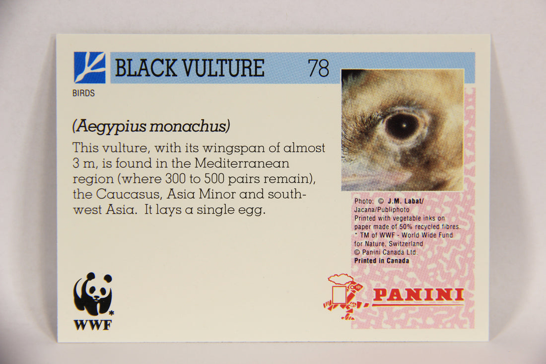 Wildlife In Danger WWF 1992 Trading Card #78 Black Vulture ENG L017014