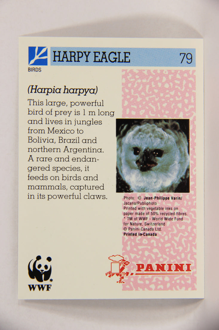 Wildlife In Danger WWF 1992 Trading Card #79 Harpy Eagle ENG L017015