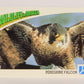 Wildlife In Danger WWF 1992 Trading Card #80 Peregrine Falcon ENG L017016