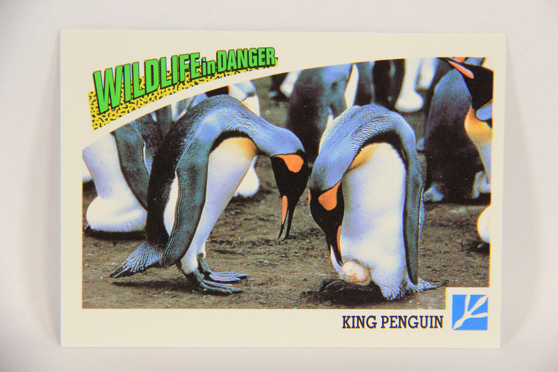 Wildlife In Danger WWF 1992 Trading Card #82 King Penguin ENG L017018