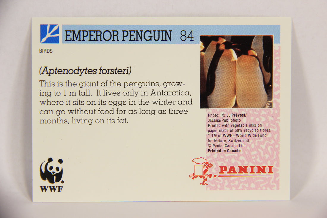 Wildlife In Danger WWF 1992 Trading Card #84 Emperor Penguin ENG L017020