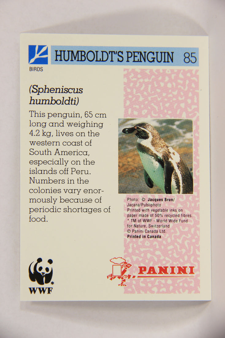 Wildlife In Danger WWF 1992 Trading Card #85 Humboldt's Penguin ENG L017021