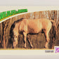 Wildlife In Danger WWF 1992 Trading Card #88 Tarpan ENG L017024