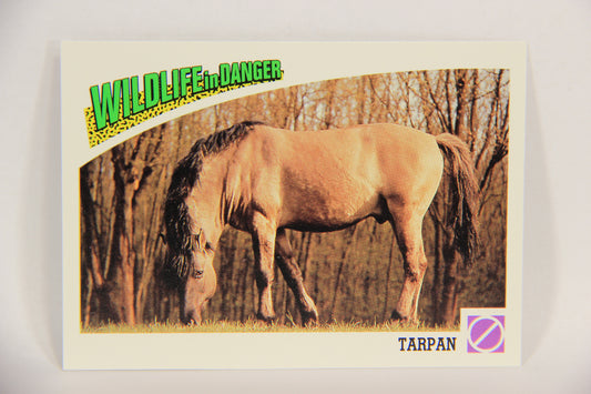 Wildlife In Danger WWF 1992 Trading Card #88 Tarpan ENG L017024