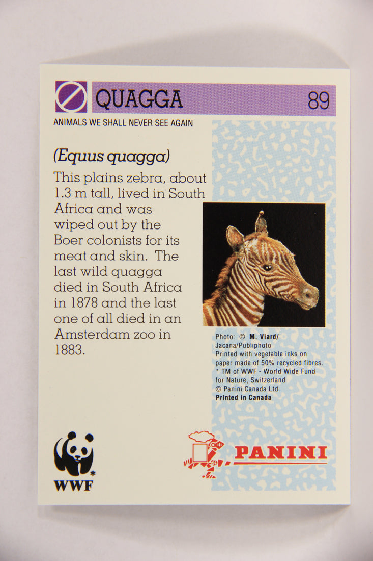 Wildlife In Danger WWF 1992 Trading Card #89 Quagga ENG L017025