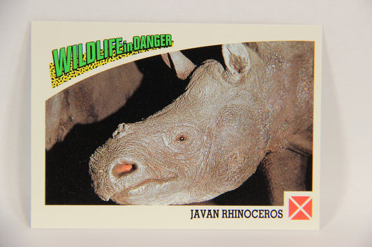 Wildlife In Danger WWF 1992 Trading Card #92 Javan Rhinoceros ENG L017028