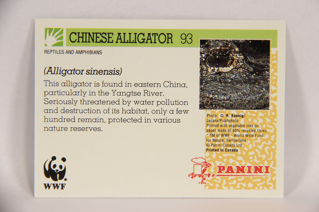 Wildlife In Danger WWF 1992 Trading Card #93 Chinese Alligator ENG L017029