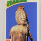 Wildlife In Danger WWF 1992 Trading Card #94 Mauritius Kestrel ENG L017030