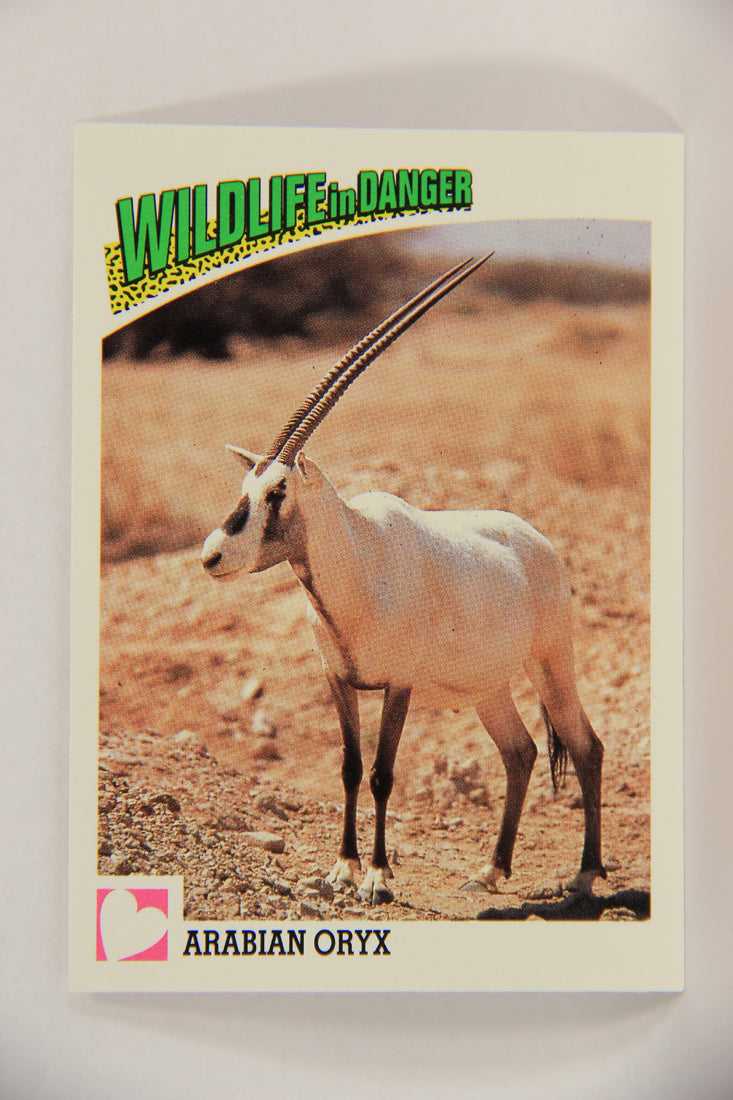 Wildlife In Danger WWF 1992 Trading Card #95 Arabian Oryx ENG L017031