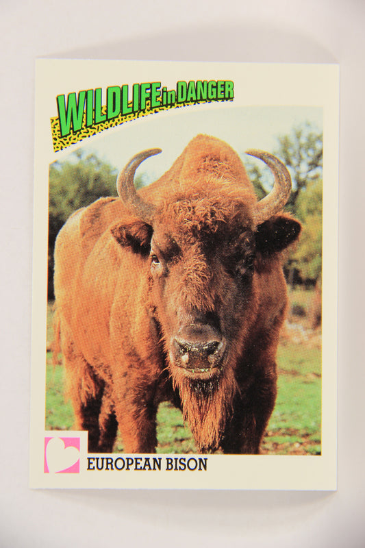 Wildlife In Danger WWF 1992 Trading Card #96 European Bison ENG L017032